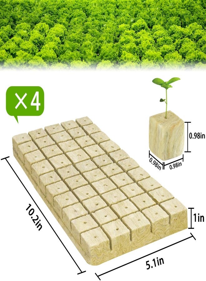 Halatool مكعبات الصوف الصخري من هالاتول مقاس 1 بوصة، مكعبات صوف صخري للحدائق، مكعبات صوف حجري للزراعة، شمعات بدء الزراعة المائية، الزراعة بدون تربة، استنساخ النباتات، بدء الإنبات (4 أوراق، 200 شمعة إجمالاً) - Image 2